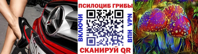 kraken tor  Калязин  Псилоцибиновые грибы Cubensis  купить наркотик 